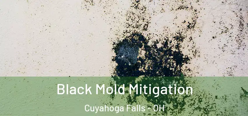 Black Mold Mitigation Cuyahoga Falls - OH