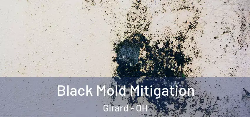 Black Mold Mitigation Girard - OH