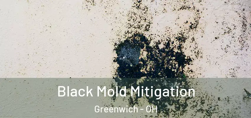 Black Mold Mitigation Greenwich - OH