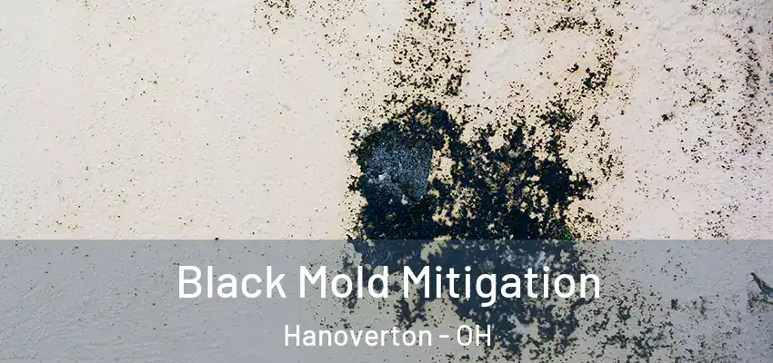 Black Mold Mitigation Hanoverton - OH