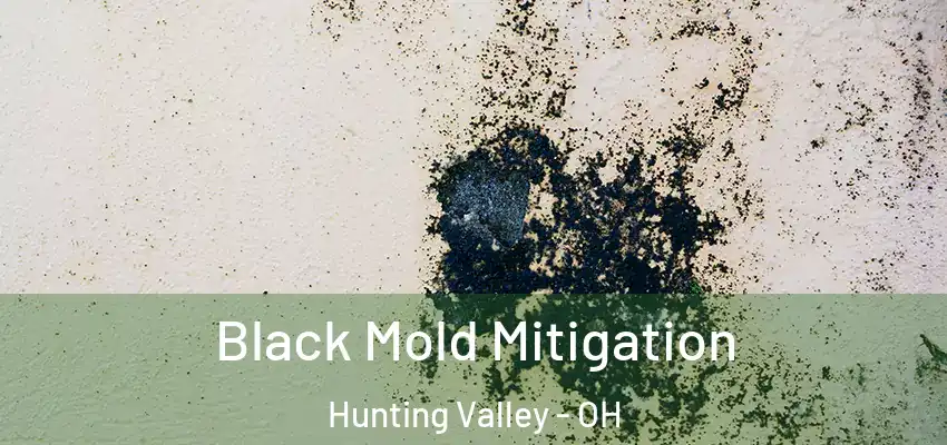 Black Mold Mitigation Hunting Valley - OH