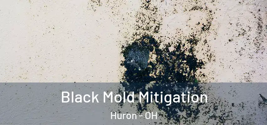  Black Mold Mitigation Huron - OH