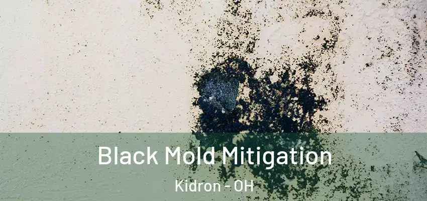  Black Mold Mitigation Kidron - OH