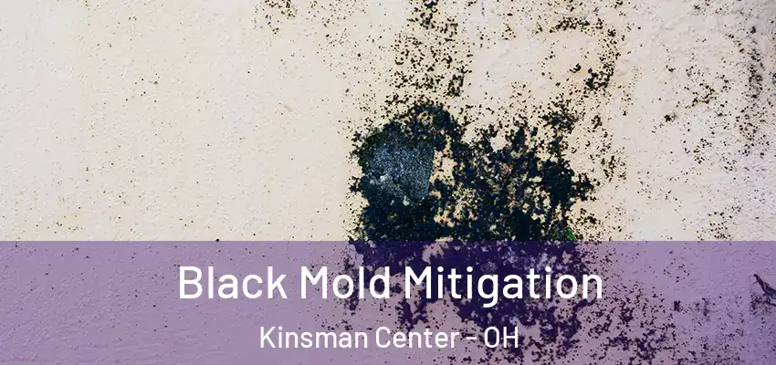 Black Mold Mitigation Kinsman Center - OH