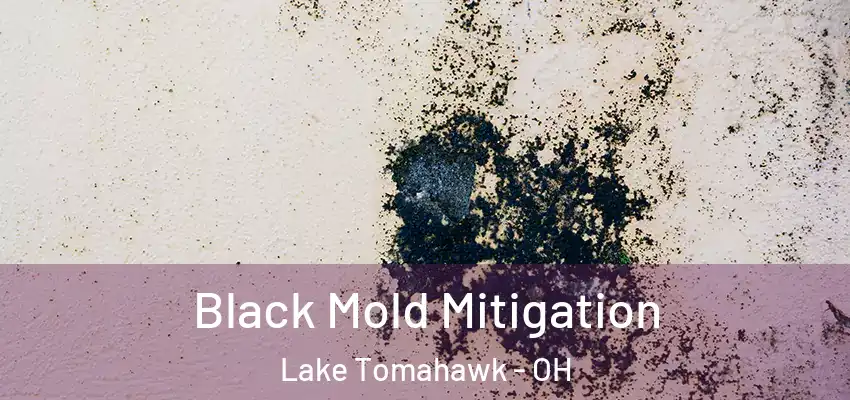 Black Mold Mitigation Lake Tomahawk - OH