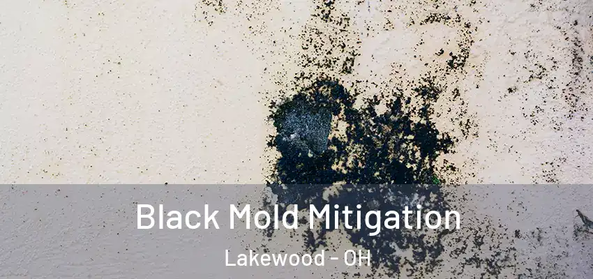 Black Mold Mitigation Lakewood - OH