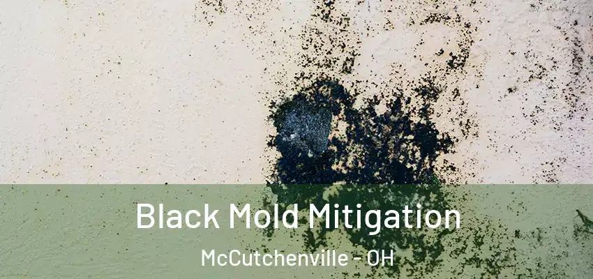 Black Mold Mitigation McCutchenville - OH