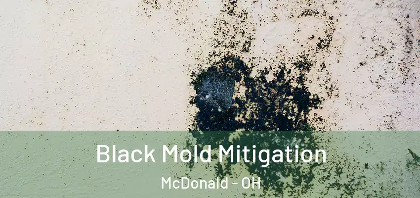 Black Mold Mitigation McDonald - OH