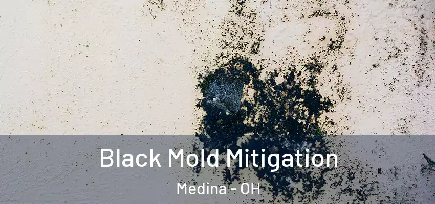 Black Mold Mitigation Medina - OH