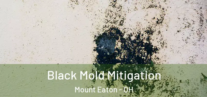  Black Mold Mitigation Mount Eaton - OH