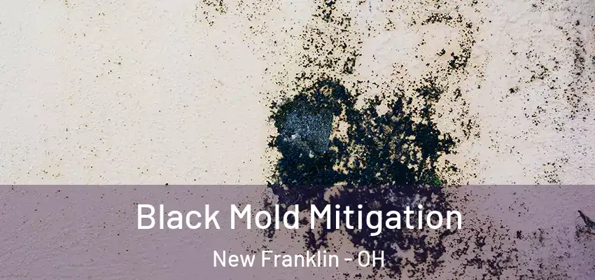 Black Mold Mitigation New Franklin - OH