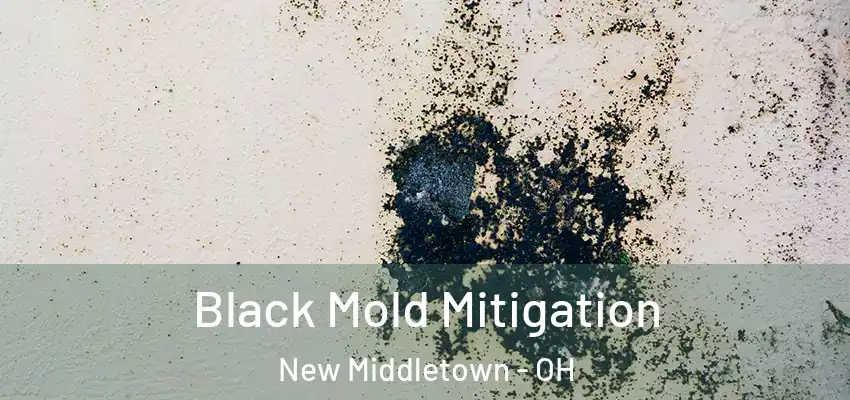 Black Mold Mitigation New Middletown - OH