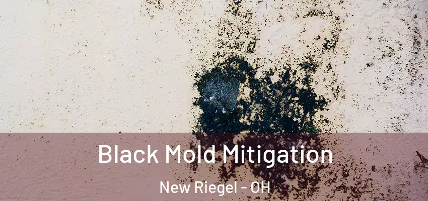 Black Mold Mitigation New Riegel - OH