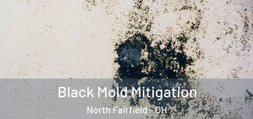 Black Mold Mitigation North Fairfield - OH