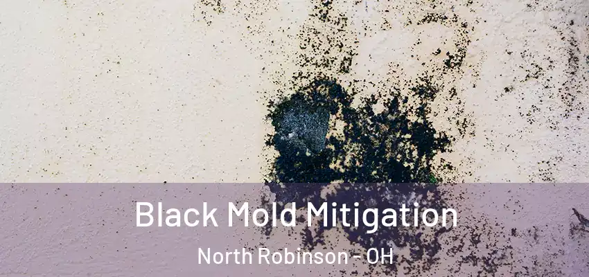 Black Mold Mitigation North Robinson - OH