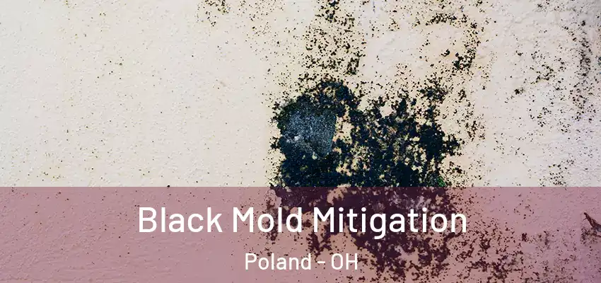  Black Mold Mitigation Poland - OH