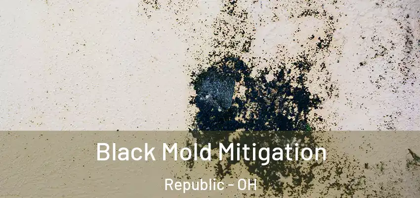  Black Mold Mitigation Republic - OH