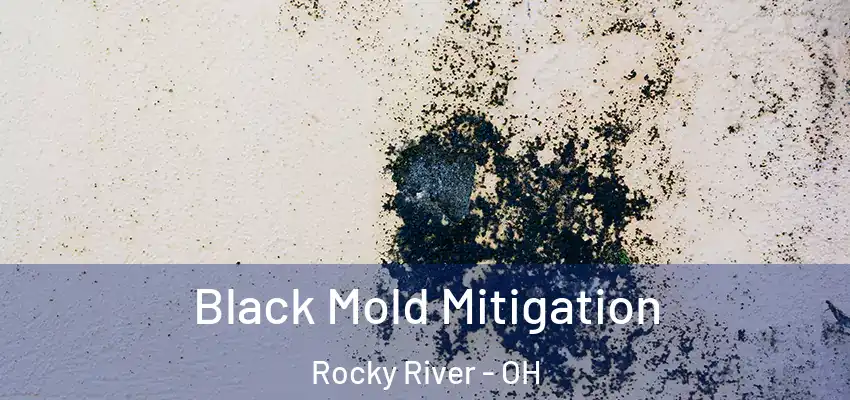 Black Mold Mitigation Rocky River - OH
