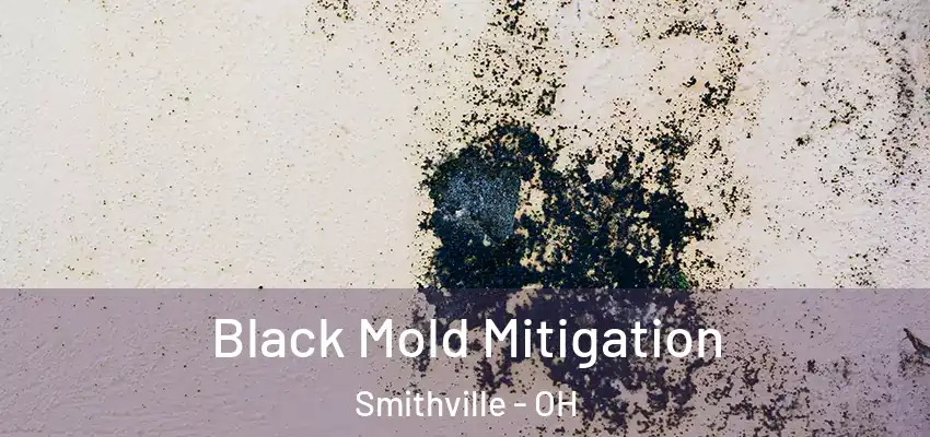 Black Mold Mitigation Smithville - OH