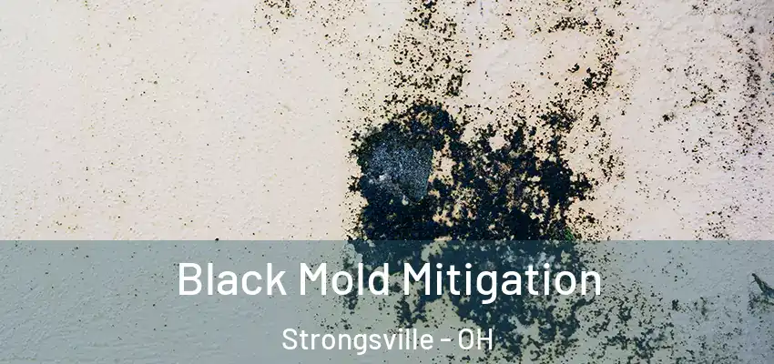 Black Mold Mitigation Strongsville - OH