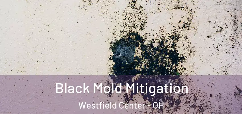  Black Mold Mitigation Westfield Center - OH