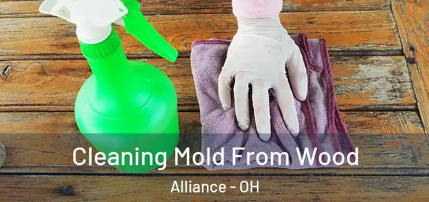 Cleaning Mold From Wood Alliance - OH