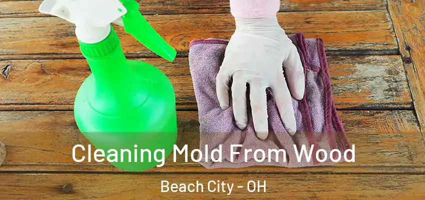  Cleaning Mold From Wood Beach City - OH
