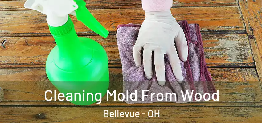 Cleaning Mold From Wood Bellevue - OH