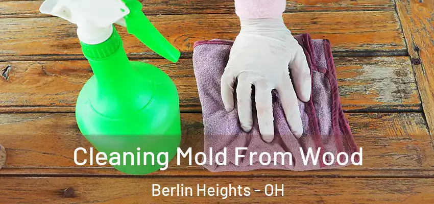  Cleaning Mold From Wood Berlin Heights - OH