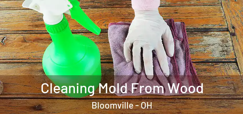  Cleaning Mold From Wood Bloomville - OH