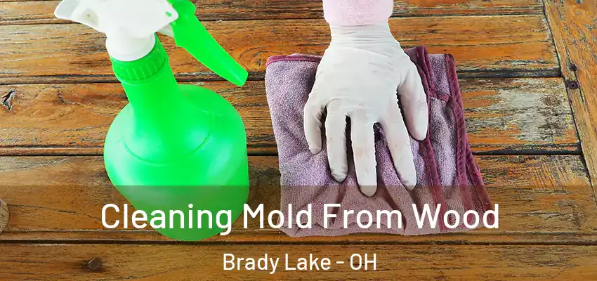 Cleaning Mold From Wood Brady Lake - OH