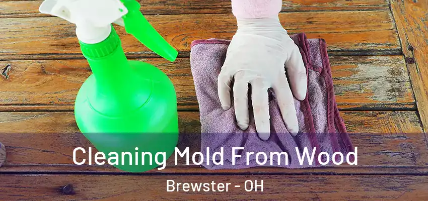 Cleaning Mold From Wood Brewster - OH