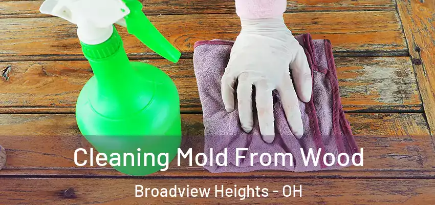 Cleaning Mold From Wood Broadview Heights - OH