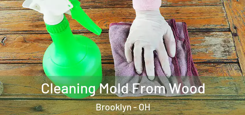 Cleaning Mold From Wood Brooklyn - OH