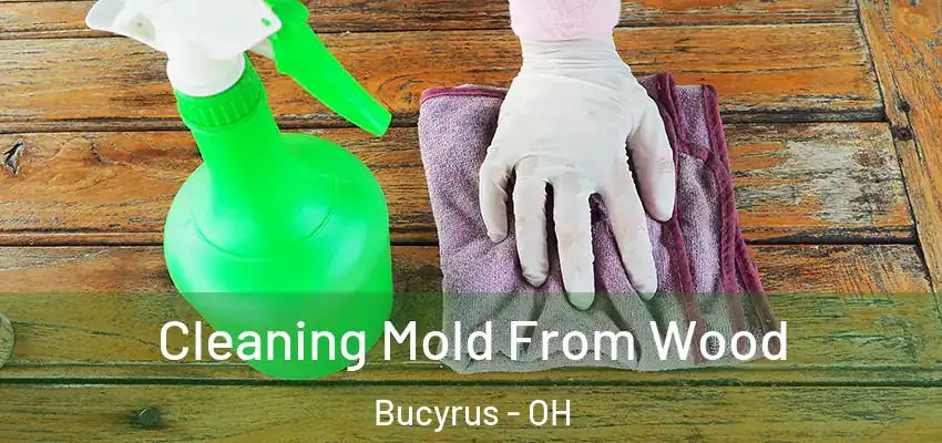 Cleaning Mold From Wood Bucyrus - OH
