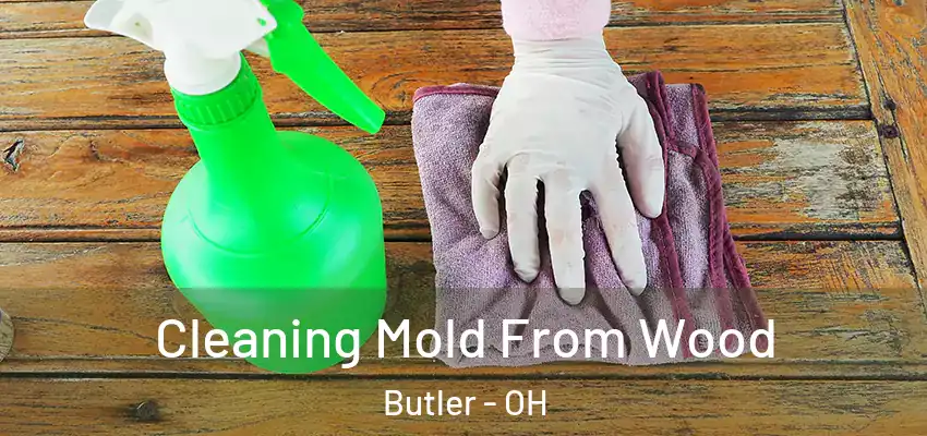 Cleaning Mold From Wood Butler - OH