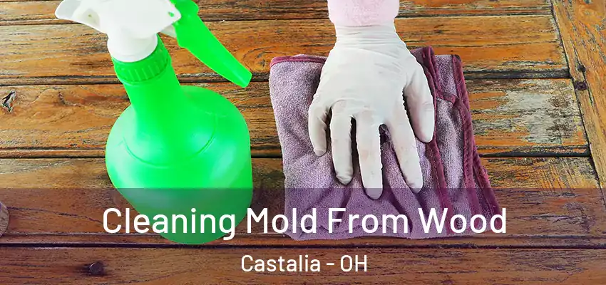 Cleaning Mold From Wood Castalia - OH
