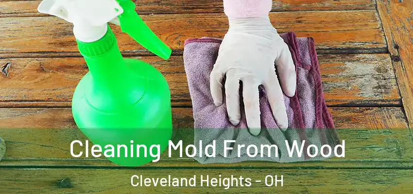  Cleaning Mold From Wood Cleveland Heights - OH