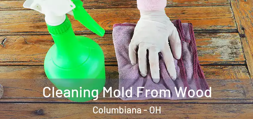  Cleaning Mold From Wood Columbiana - OH