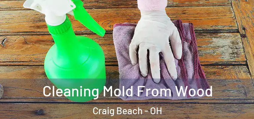  Cleaning Mold From Wood Craig Beach - OH