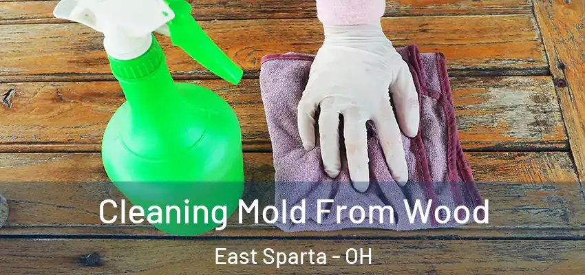  Cleaning Mold From Wood East Sparta - OH