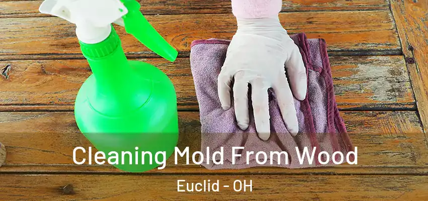  Cleaning Mold From Wood Euclid - OH