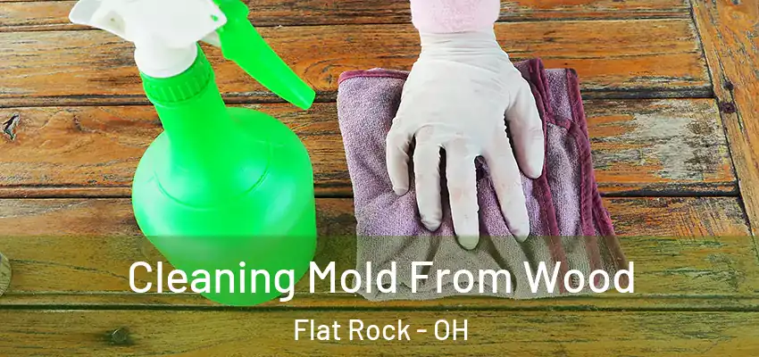  Cleaning Mold From Wood Flat Rock - OH