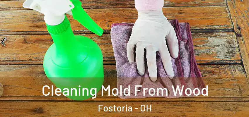  Cleaning Mold From Wood Fostoria - OH