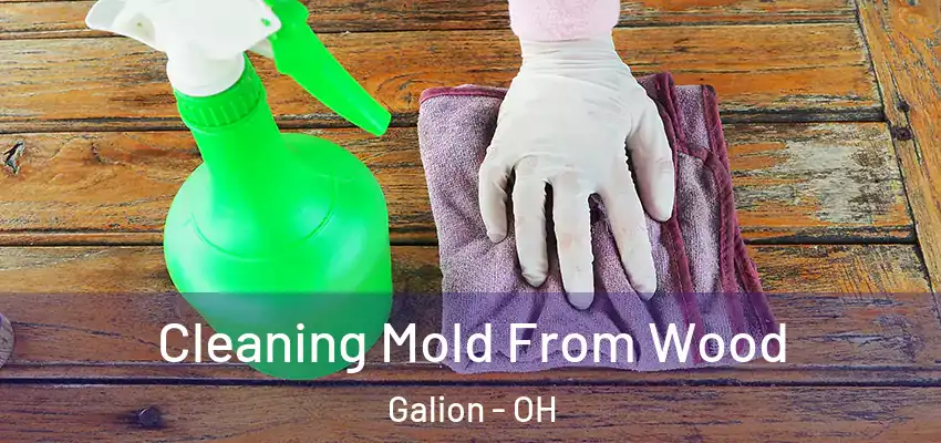  Cleaning Mold From Wood Galion - OH