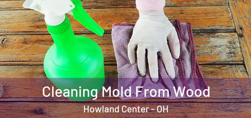  Cleaning Mold From Wood Howland Center - OH