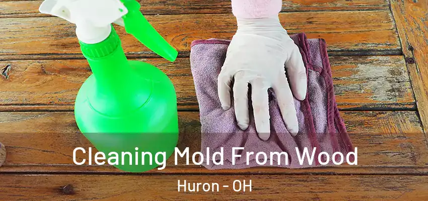  Cleaning Mold From Wood Huron - OH