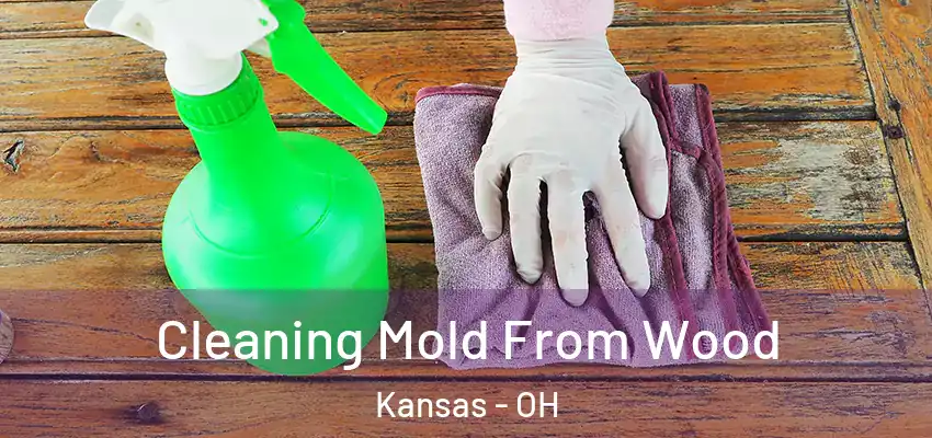  Cleaning Mold From Wood Kansas - OH
