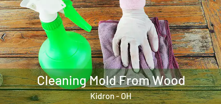  Cleaning Mold From Wood Kidron - OH