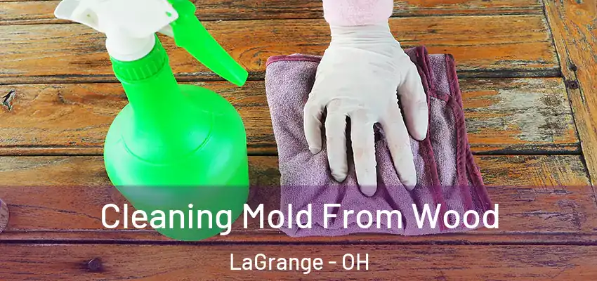  Cleaning Mold From Wood LaGrange - OH